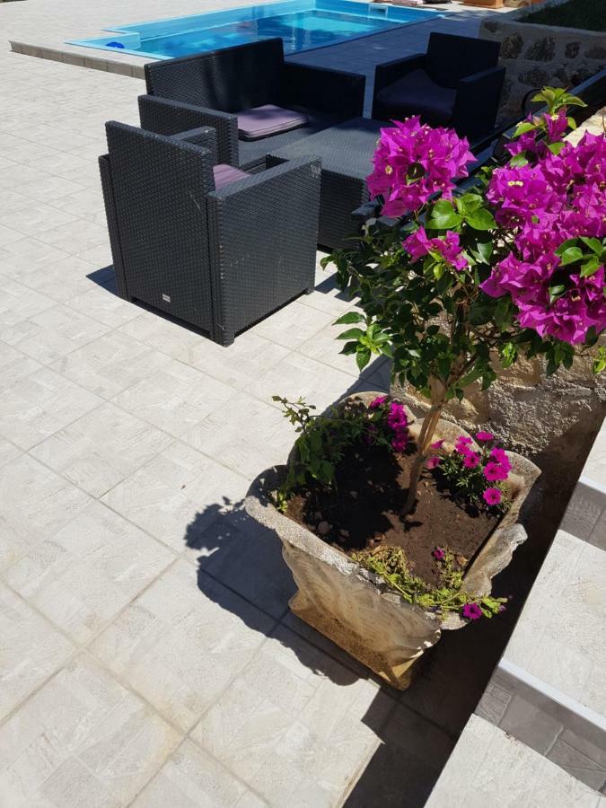 Holiday House "Villa Flora" شيبينيك المظهر الخارجي الصورة